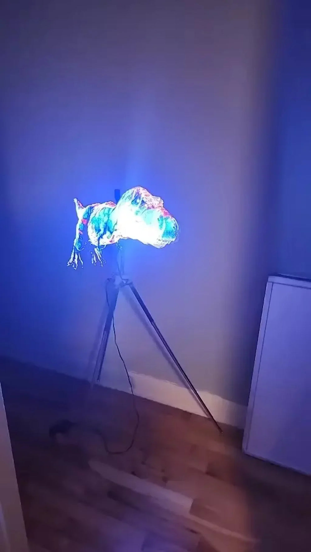 <h2>Avis Clients</h2>